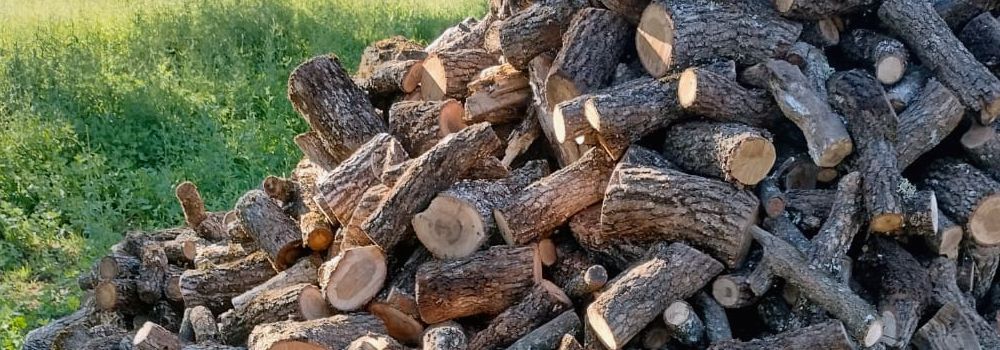 leña de encina seca apilada lista para chimenea Madrid